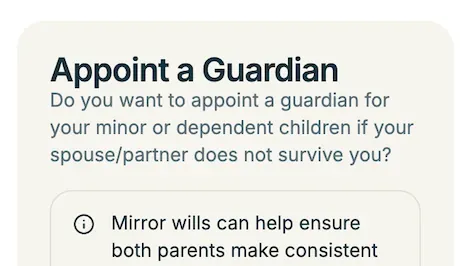 Appoint a guardian